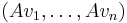 (Av_1, \dots, Av_n)