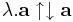 \lambda.\mathbf{a}\uparrow\downarrow\mathbf{a}
