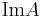 \operatorname{Im} A